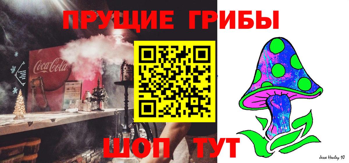 Псилоцибиновые грибы мицелий Москва